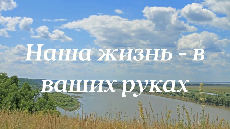 Наша жизнь в ваших руках!.